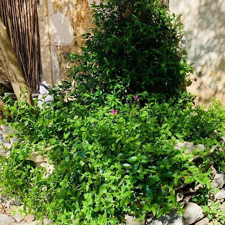 Appartement Avec Jardin Privatif Cazouls-lès-Béziers Εξωτερικό φωτογραφία